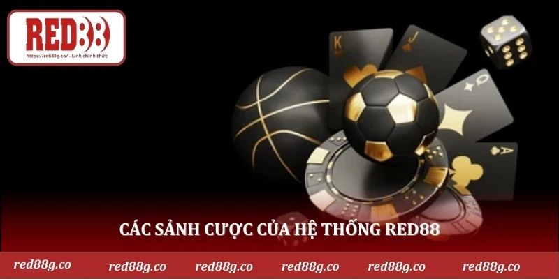 Các sảnh cược của hệ thống RED88