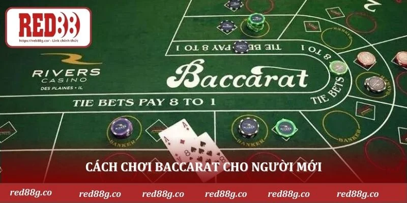Cách chơi baccarat đơn giản, dễ hiểu cho tân thủ