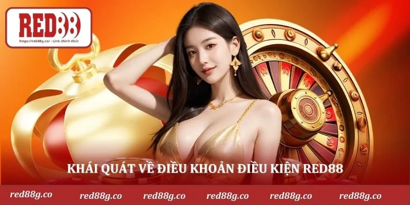 Khái quát về Điều khoản điều kiện RED88