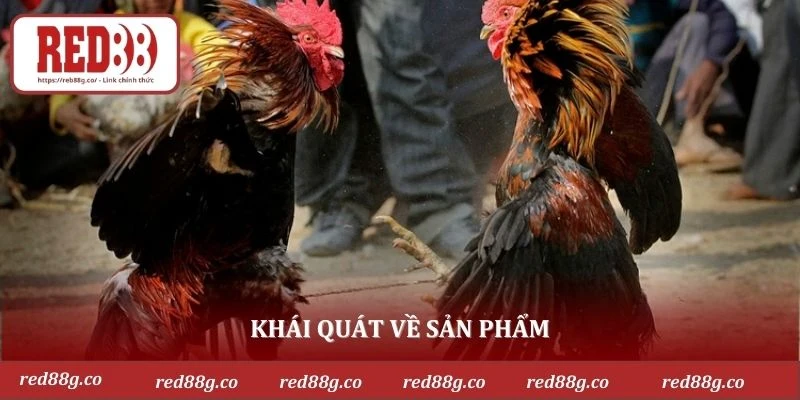 Khái quát về sản phẩm