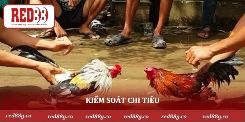 Kiểm soát chi tiêu