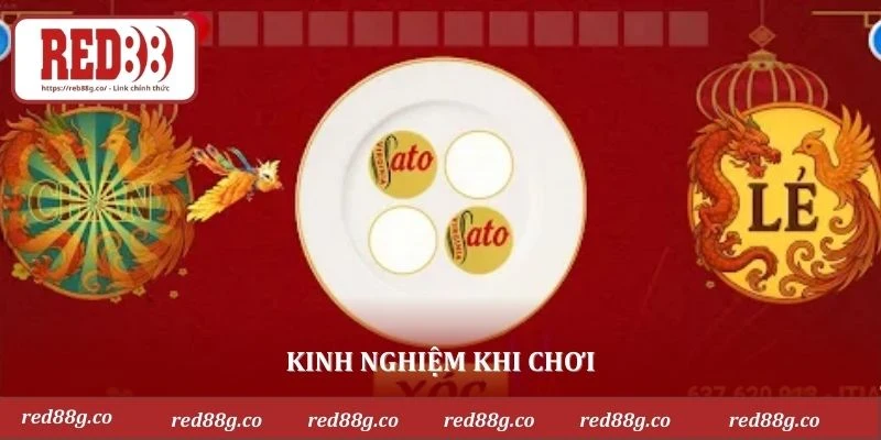 Kinh nghiệm khi chơi