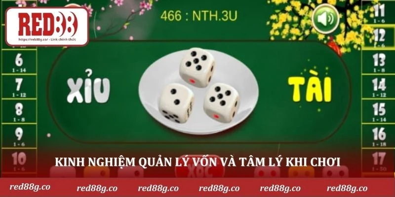 Kinh nghiệm quản lý vốn và tâm lý khi chơi