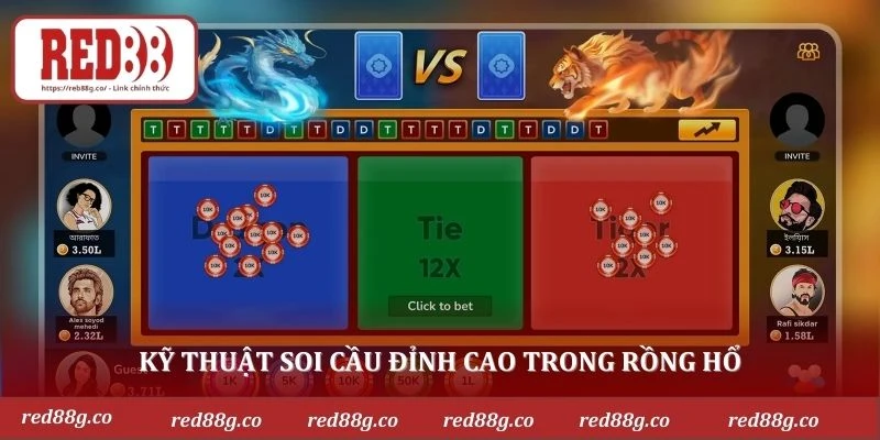 Kỹ thuật soi cầu đỉnh cao trong rồng hổ