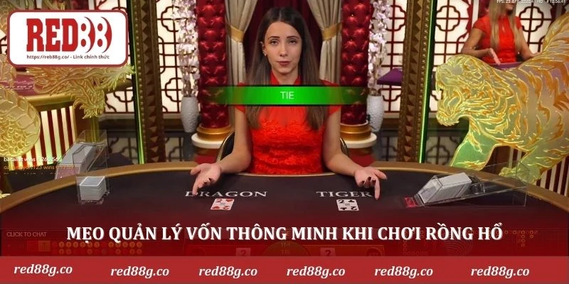 Mẹo quản lý vốn thông minh khi chơi rồng hổ