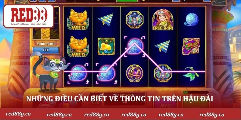 Những điều cần biết về thông tin trên hậu đài 