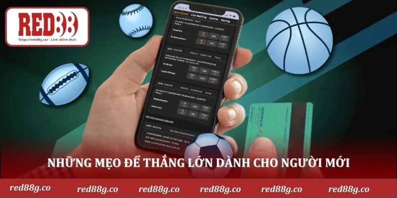 Những mẹo để thắng lớn dành cho người mới