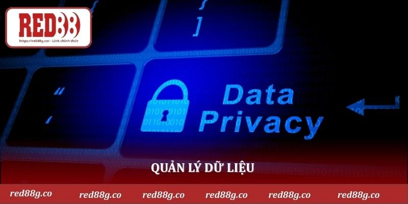 Quản lý dữ liệu 