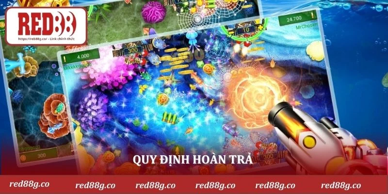 Quy định hoàn trả 